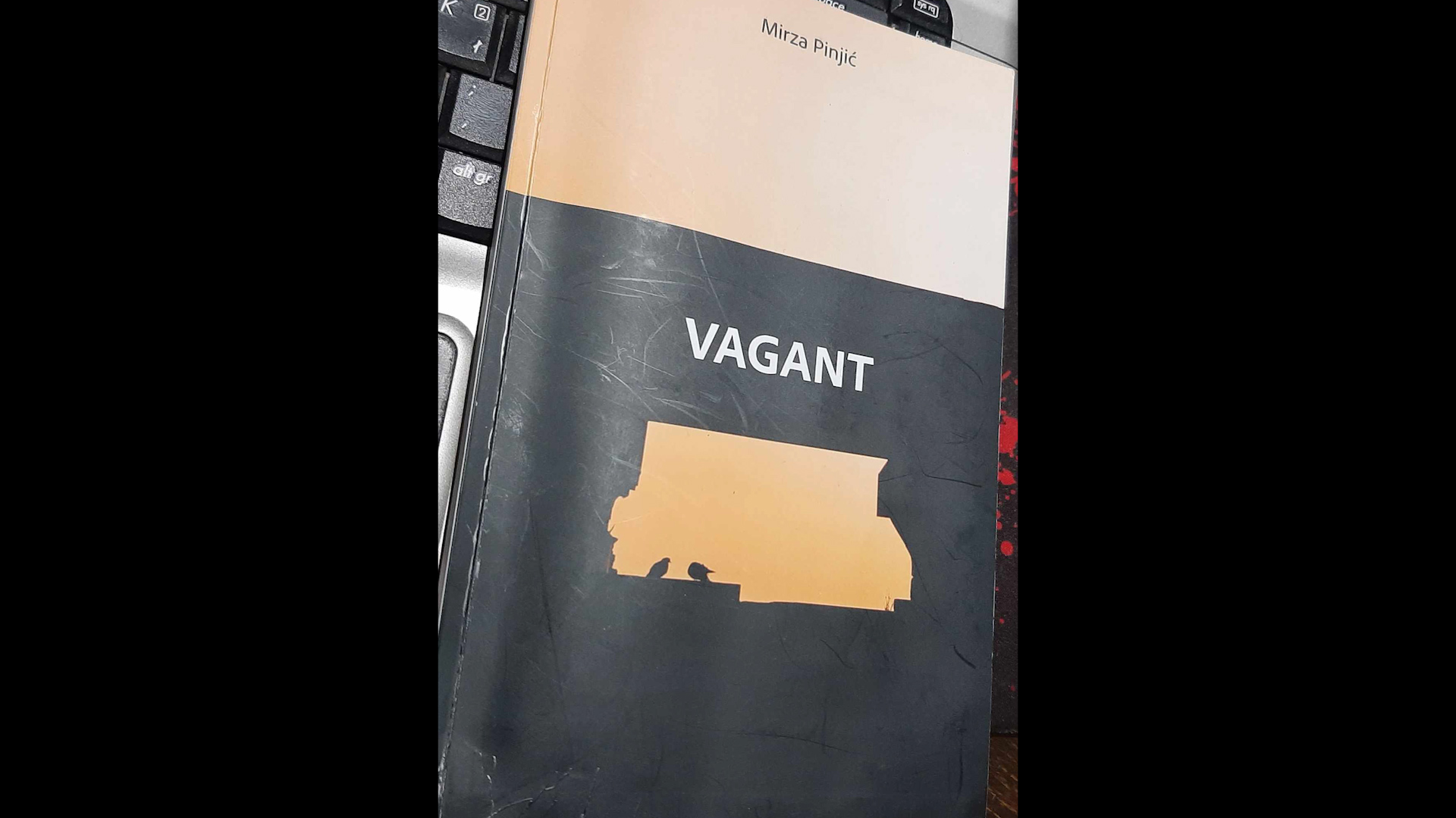 Vagant – Mirza Pinjić